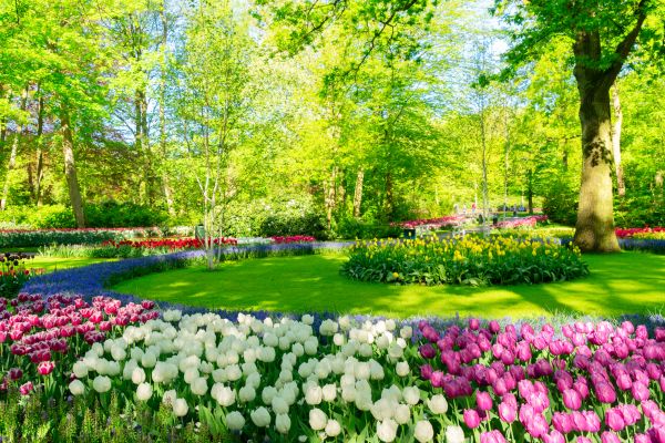 Flower Landscaping in Bethesda