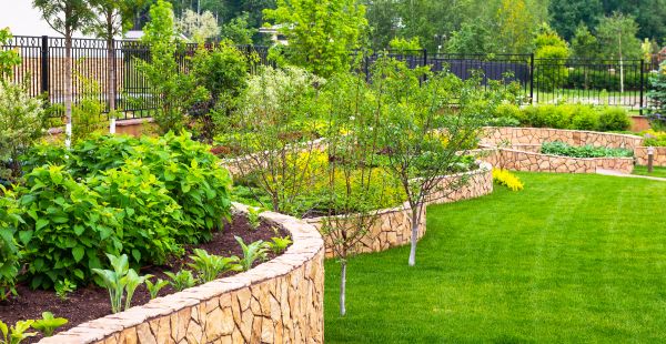 Yard Makeover Service in Bethesda