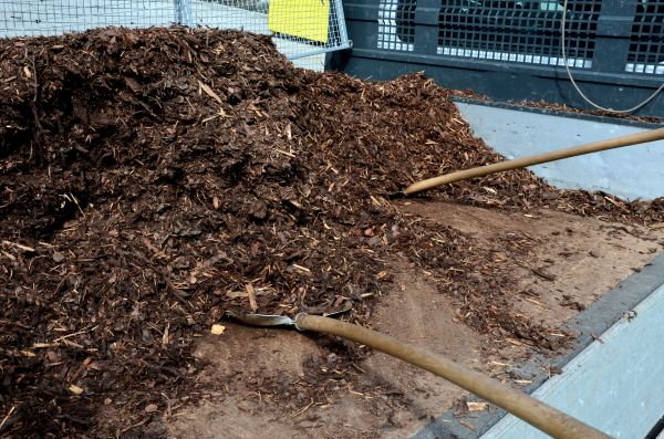 Cedar Bark Delivery in Bethesda