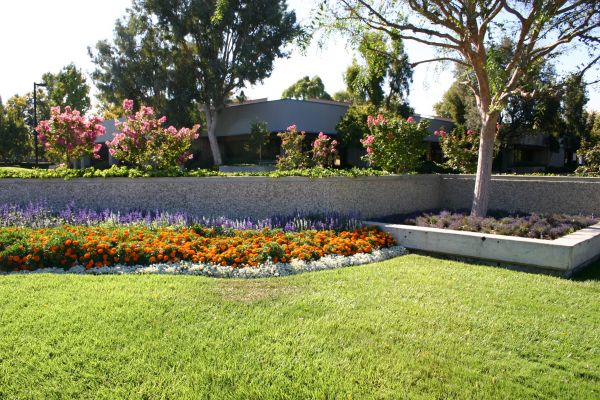 Commercial Landscape Service in Bethesda