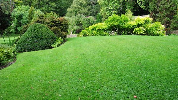 Commercial Landscape Design in Bethesda