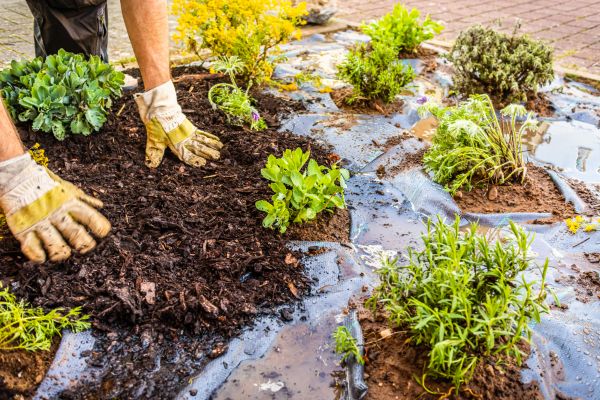 Mulch Fabric Installation in Bethesda