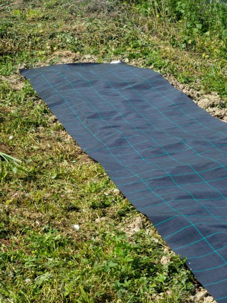 Weed Suppressant Installation in Bethesda