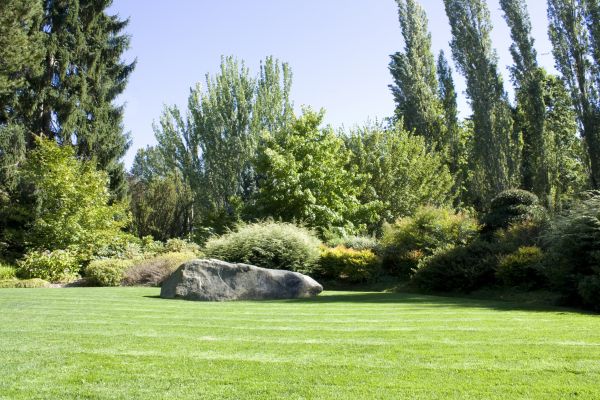 Yard Enlargement in Bethesda
