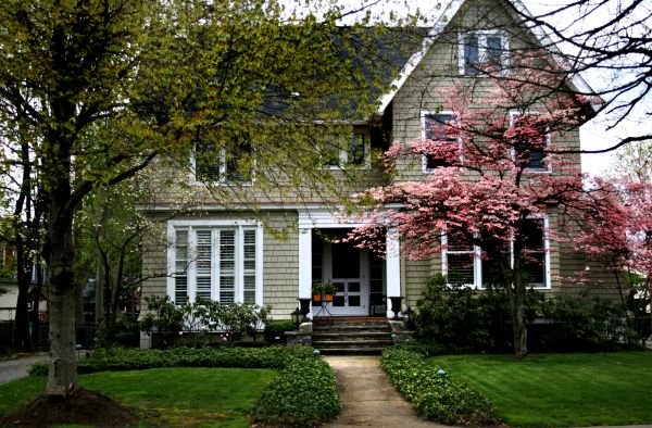 Ornamental Tree Planting in Bethesda