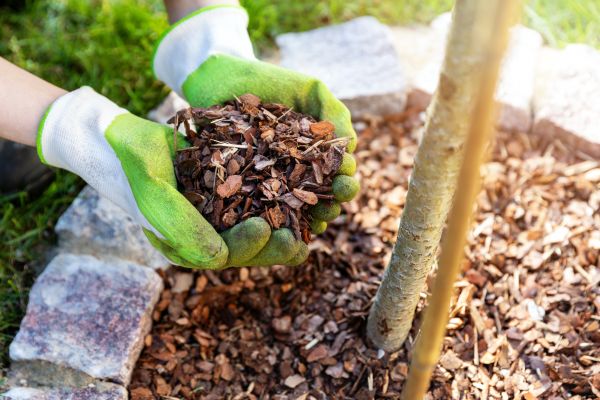 Tree Bark Delivery in Bethesda