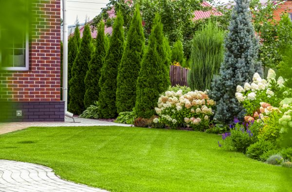 Spring Landscaping in Bethesda