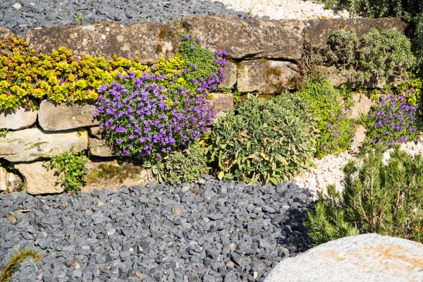 Landscaping Rocks Installation in Bethesda