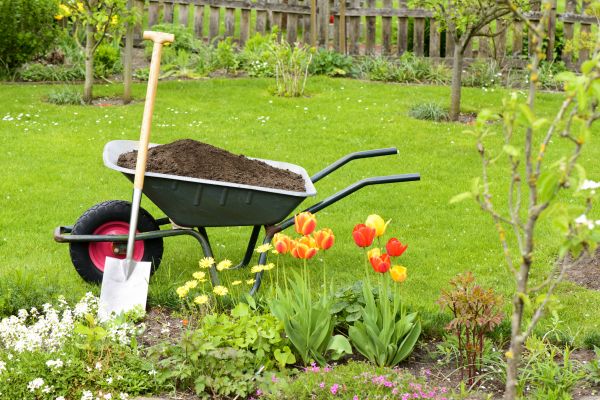 Spring Yard Renovation in Bethesda