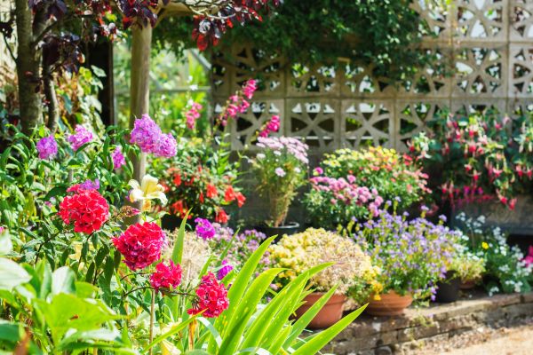 Spring Garden Maintenance in Bethesda
