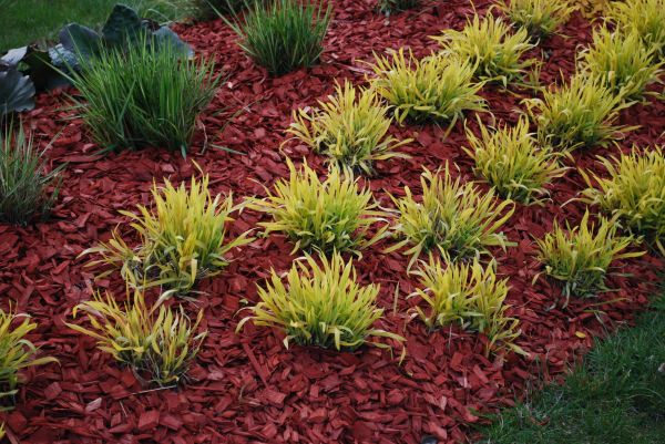 Red Mulch Installation in Bethesda