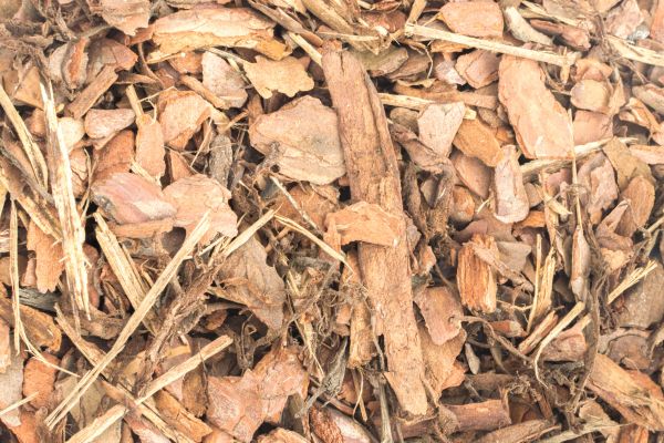 Bark Mulch Installation in Bethesda