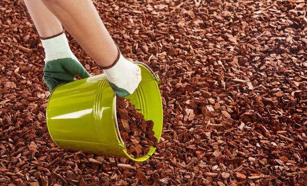 Wood Chip Landscaping in Bethesda