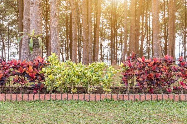 Small Garden Landscaping in Bethesda