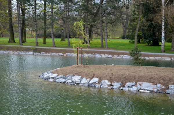 Pond Landscaping Service in Bethesda