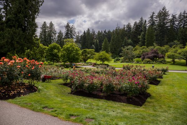 Flower Garden Landscaping in Bethesda