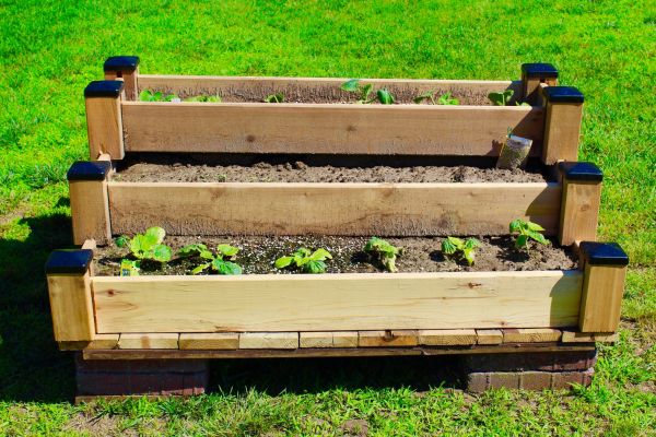 Raised Garden Bed Installation in Bethesda