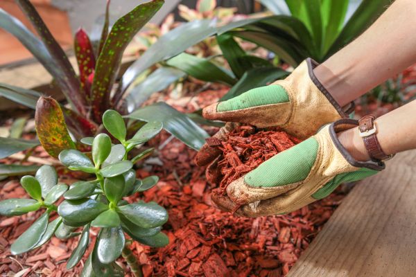 Cedar Mulch Installation in Bethesda