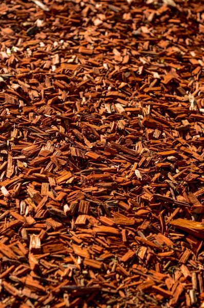 Cedar Mulch Spreading in Bethesda