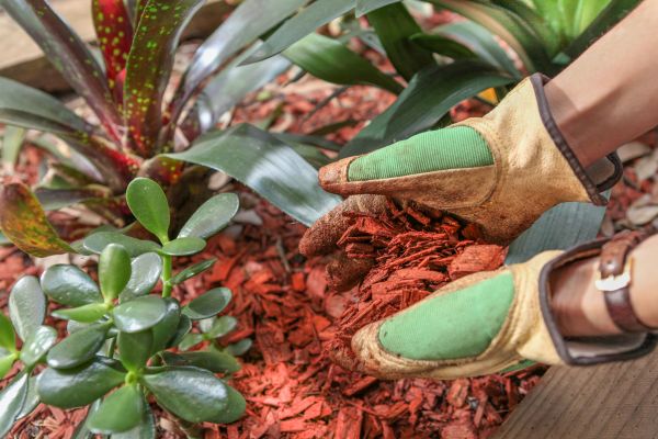 Residential Mulching in Bethesda