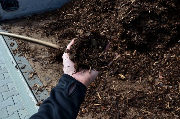 Condo Mulching in Bethesda