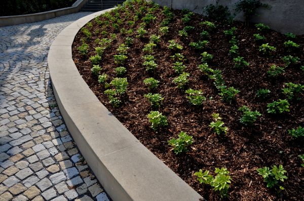 Commercial Mulching in Bethesda