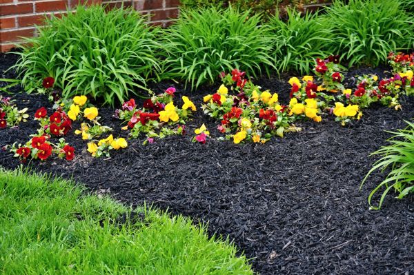 Apartment Mulching in Bethesda