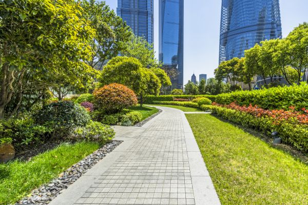 Commercial Landscaping in Bethesda